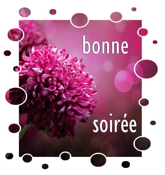 Résultat de recherche d'images pour "bonne soirée gros bisous"