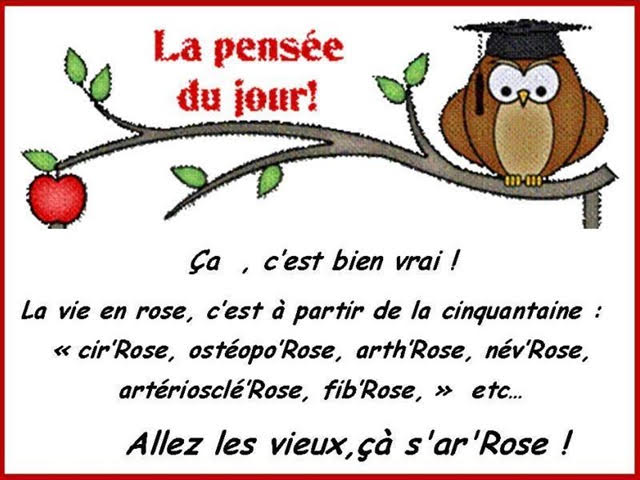 http://www.certiferme.com/blog/imgs/articles/blog-32476-humourla-pensee-du-jour-081215180701-8440634973.jpg