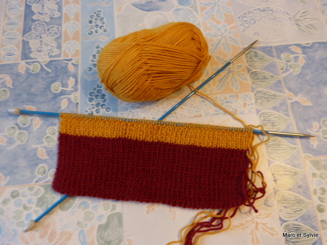 FICHE TRICOT echarpe façon Harry Potter