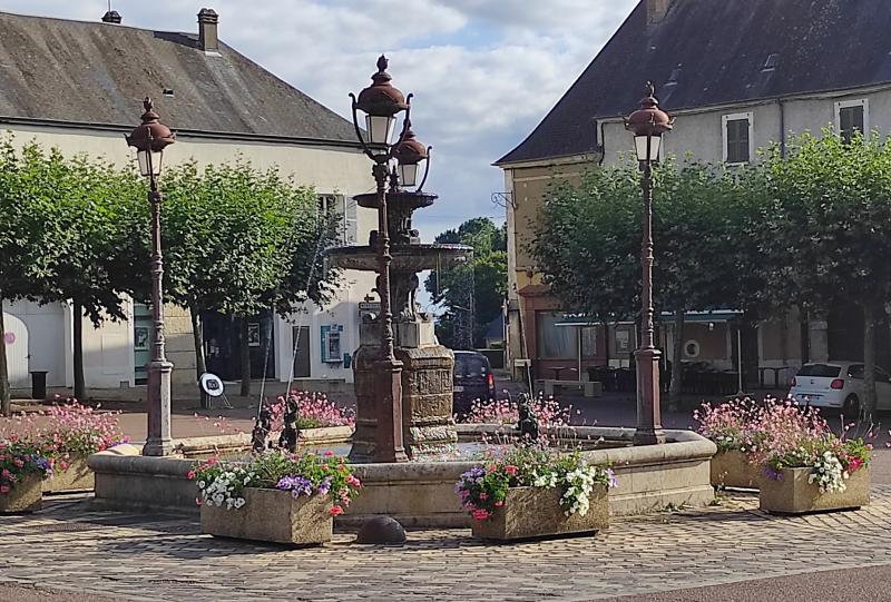 Je veux déguster les fleurs de mon balcon ! - M6