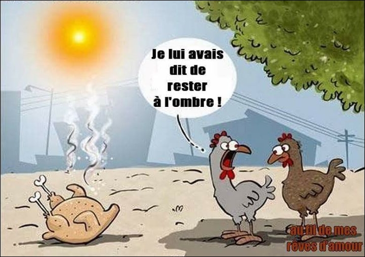 blog-702-humour-et-canicule-22-juin-2017-220617194226-8750474594.jpg