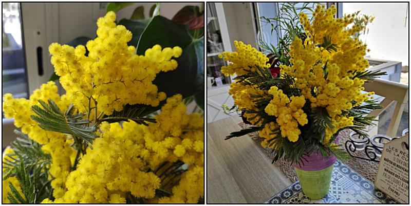 Une folle Belle Fleur-des super jaune Bougies Arbuste!