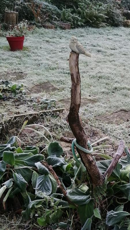 Il est temps de planter tes légumes en pleine terre ! - Vert Bobo