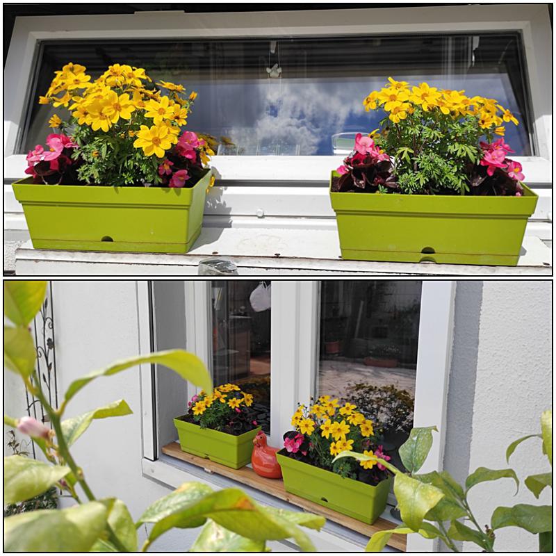 Plantez-remorque "ROUILLE" fenêtre deco AMOUR accrocher terrasse balcon 