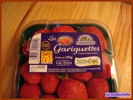 [Image: blog-702-fraises-stracciatella-250409004...630084.JPG]