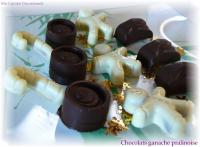 Chocolats Fourrés Ganache-Pralinoise