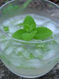 Mojito