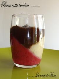 Panna Cotta Framboise, Banane et Chocolat