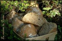 Petits Pains aux Crales et Ciboulette