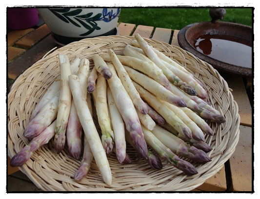 Asperges  la Flamande