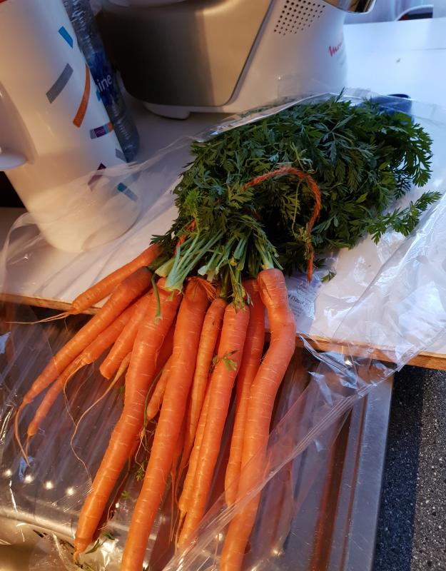 Botte de carotte 