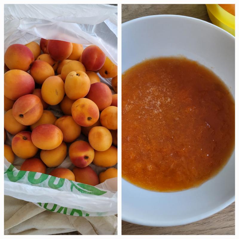 Confiture Abricots 