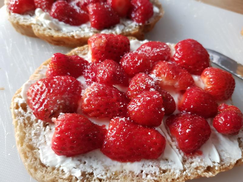 Fraises du jardin 