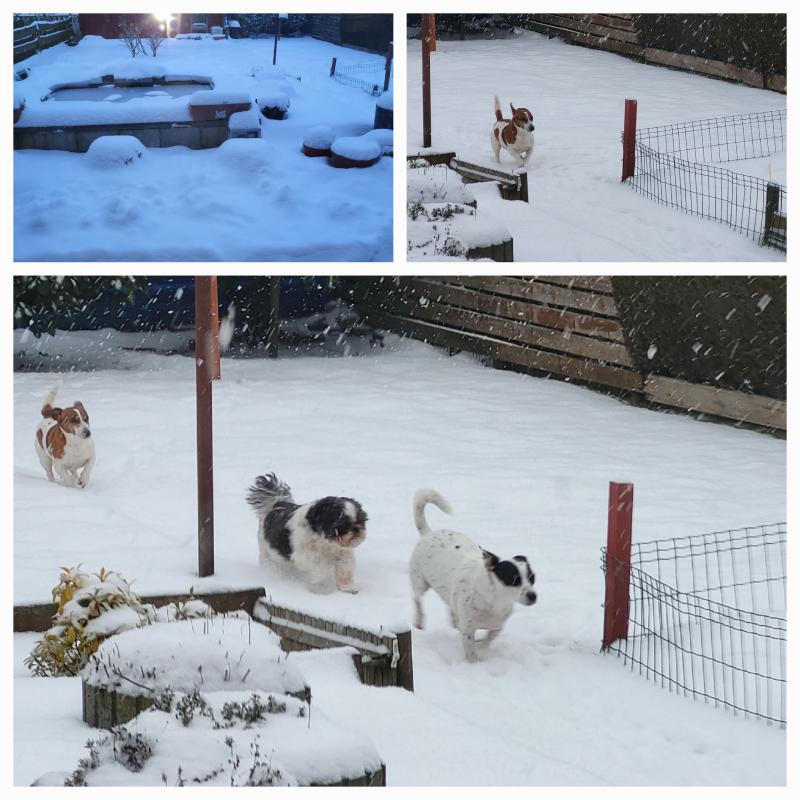 La neige sur la Belgique 