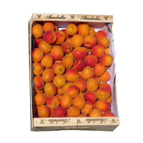 Abricots 