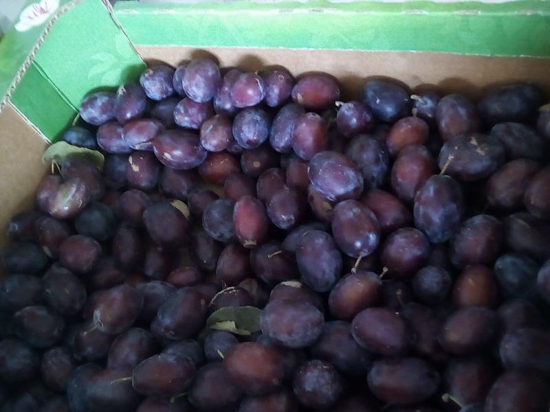 Des prunes 