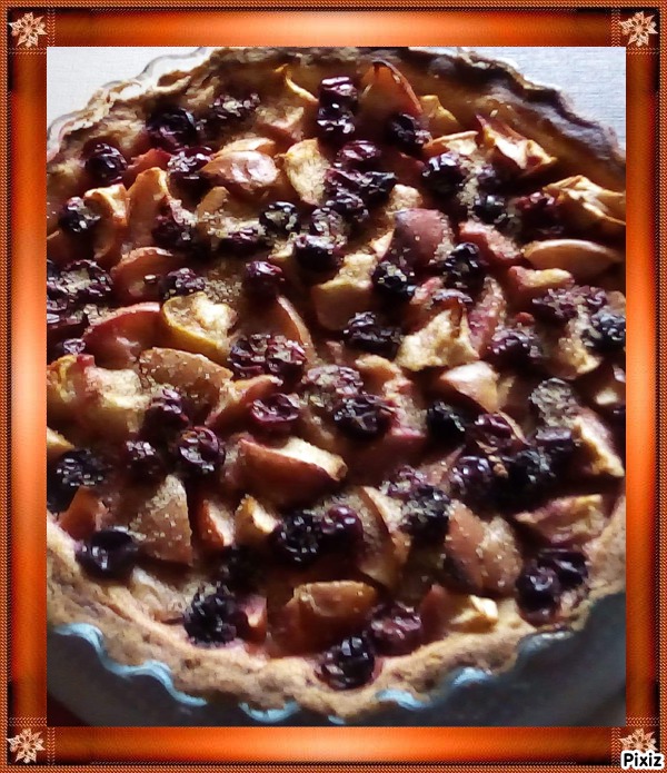 TARTE RAISIN POMME 