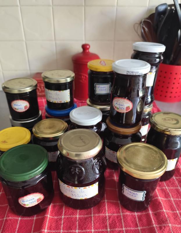 Gel�e de m�res sauvages.
