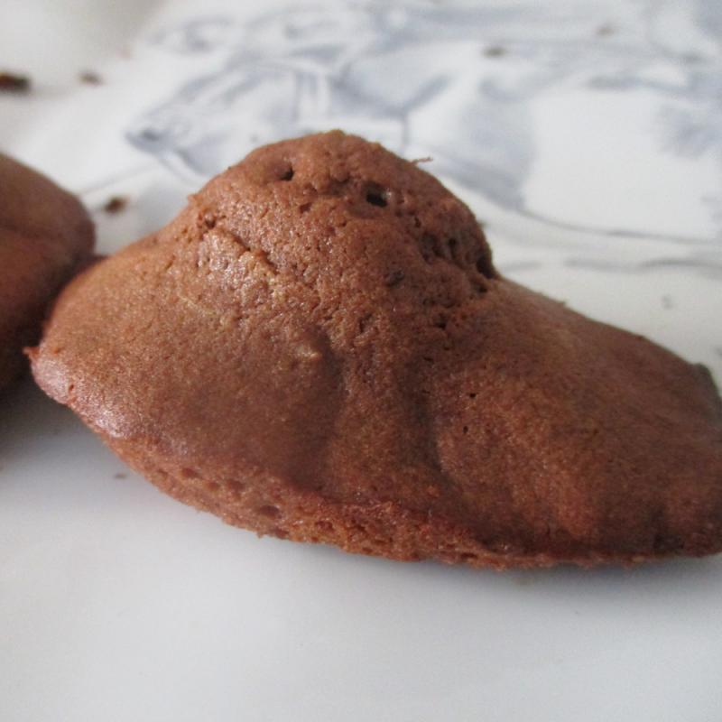 MADELEINES AU CHOCOLAT.