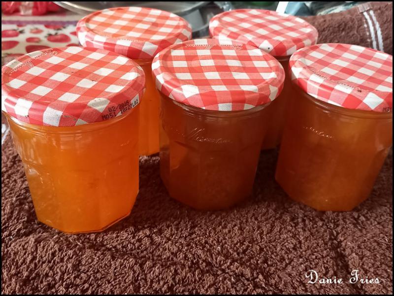  ABRICOTS
