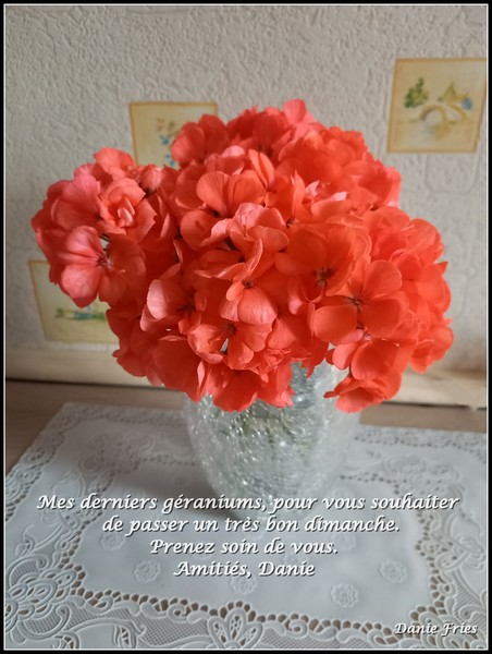 BON DIMANCHE