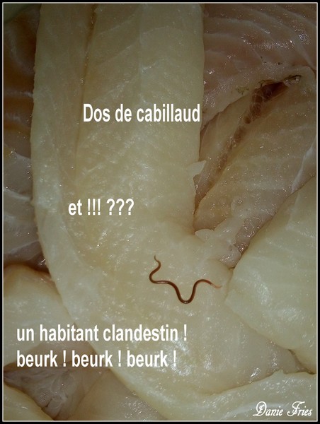 DOS DE CABILLAUD