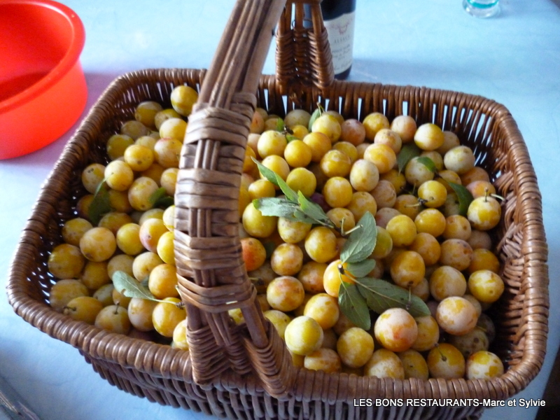 LE TEMPS DES MIRABELLES