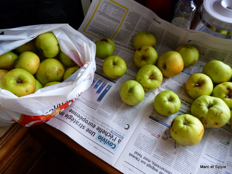 POMMES POMMES POMMES