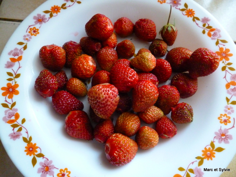 PREMIRES FRAISES et dessert du jour