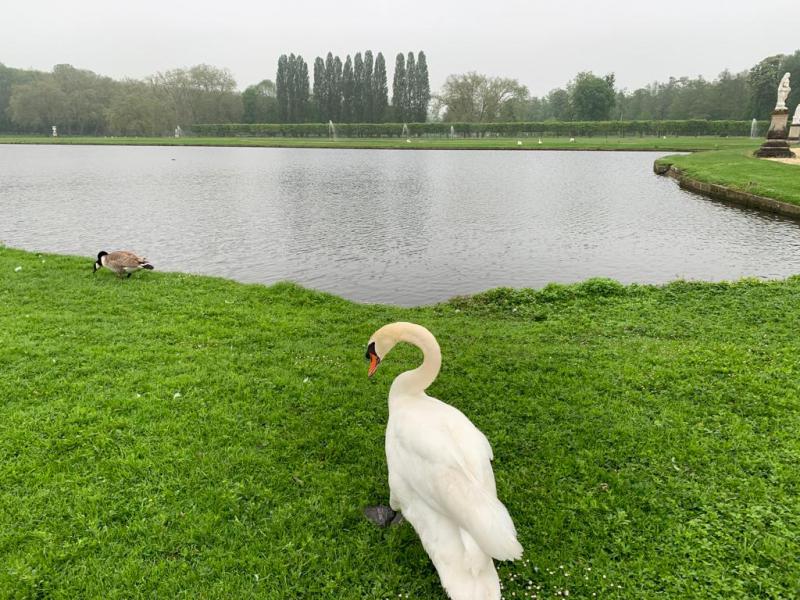 Jardins- Chateau de Chantilly