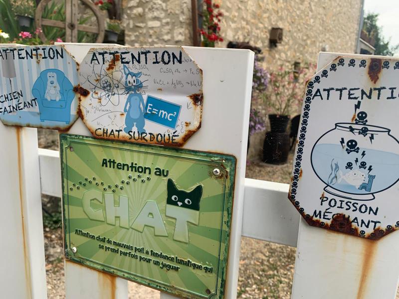 Provins - Exposition les Felins
