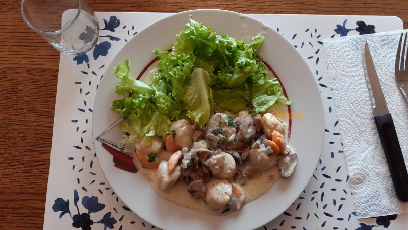 Blanquette de St Jacques