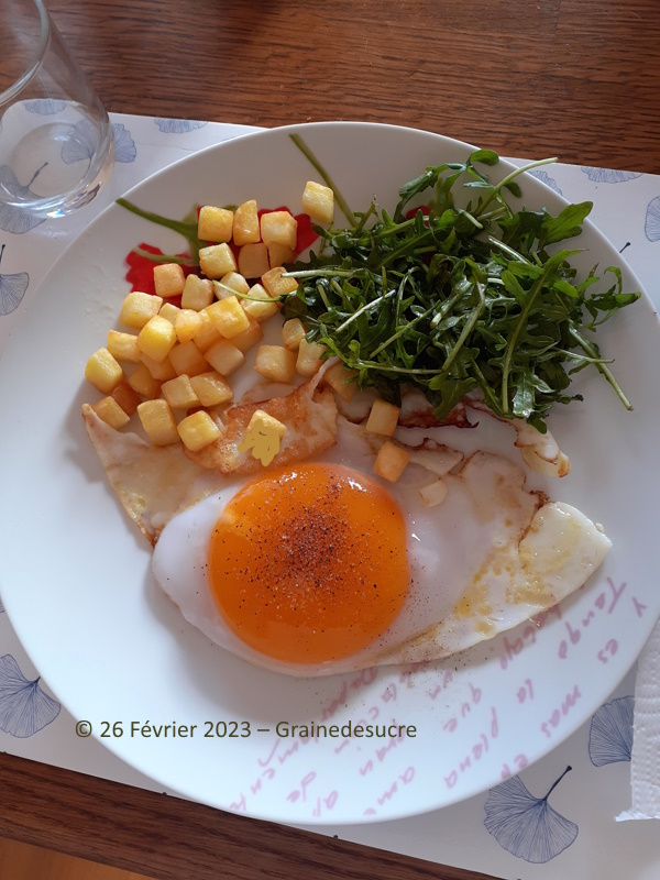 Retour d\'un plaisir : un oeuf d\'oie