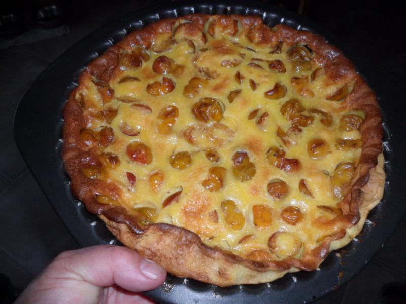 Clafoutis aux Mirabelles