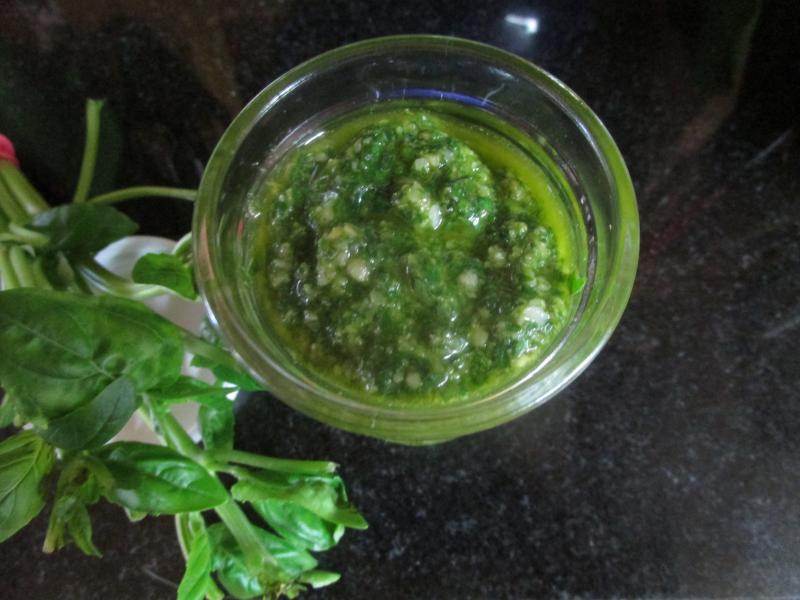 PESTO DU SUD OUEST