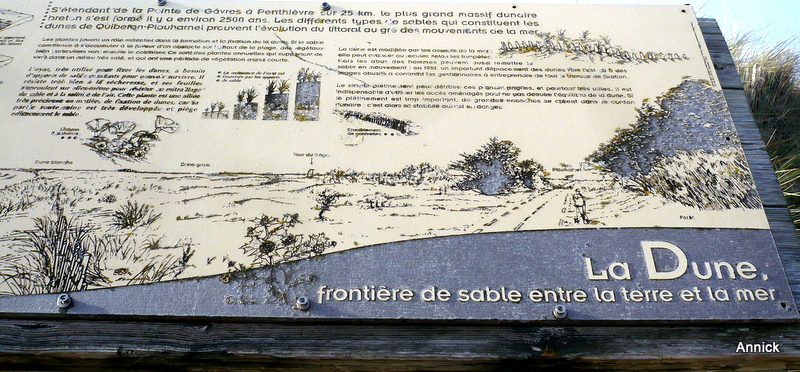 La dune, frontire de sable entre la mer et la terre