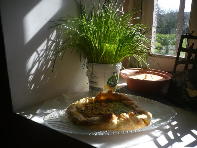 Tarte aux herbes (ciboulette et autres).