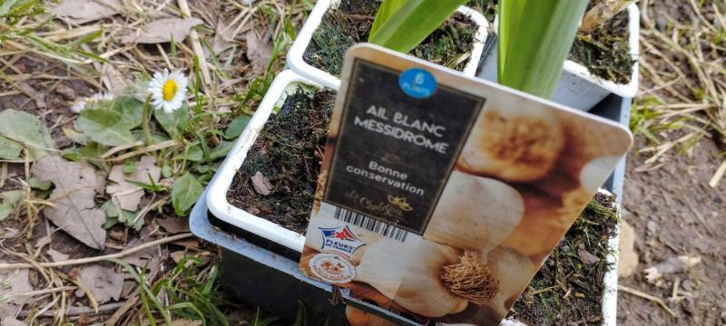 Un peu de jardin?