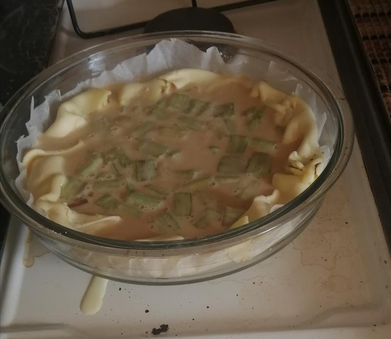 2ieme r�colte de rhubarbe. 