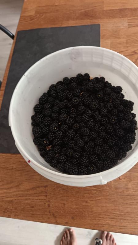 La saison des mres.. 