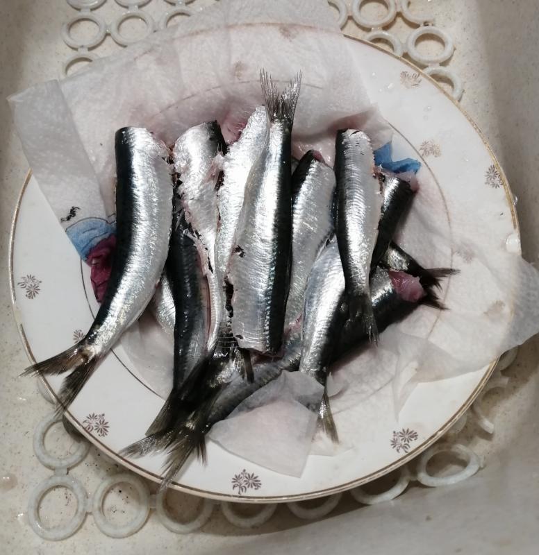 Les sardines