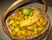 Confiture de Tomates \