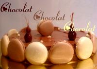 Entremets Gourmand Chocolat
