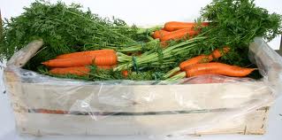 Mousseline de carottes