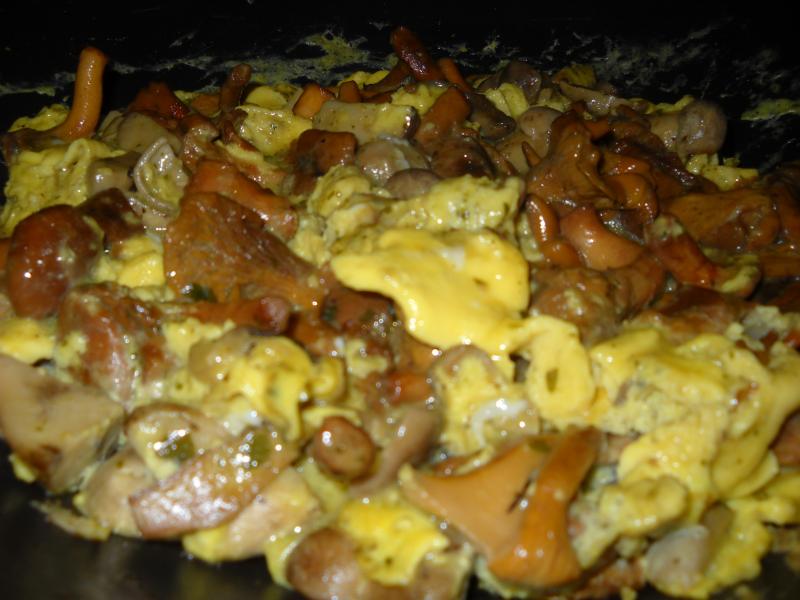 Omelette aux cpes et girolles