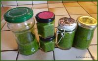 Pesto  l\'Ail des Ours