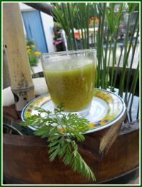 Potage de Fanes de Carottes aux Perles du Japon