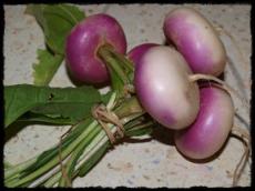 Quiche aux Navets et son Boursin aux Figues et Noix