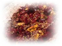 Salade de Betteraves rouges sucre-sale