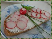 Tartines de Printemps aux Radis